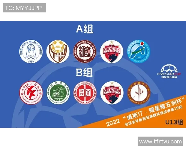 深圳足球队运营策略深度分析与发展前景探讨