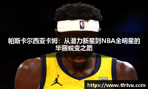 蓝狮在线
