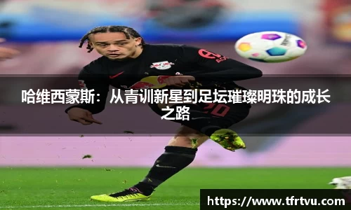蓝狮在线平台