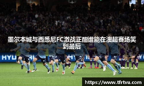 蓝狮在线平台